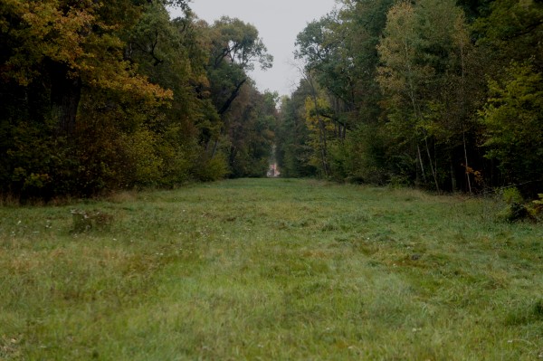 Widok na bramę mauretańską